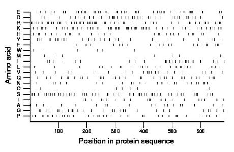 amino acid map