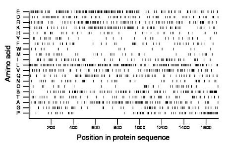 amino acid map