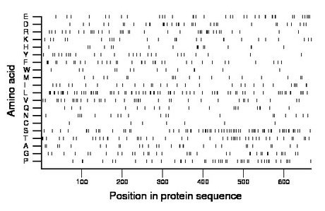 amino acid map