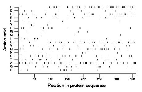 amino acid map