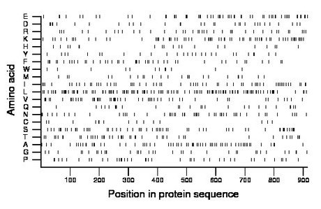 amino acid map