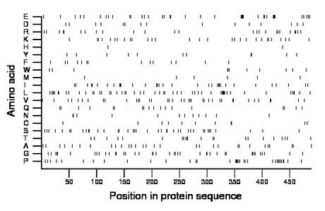 amino acid map