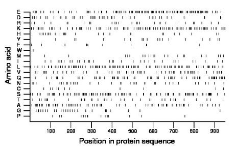 amino acid map