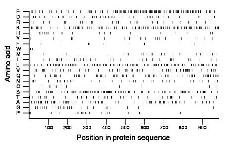 amino acid map