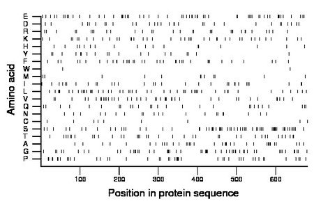 amino acid map