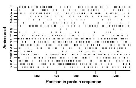 amino acid map