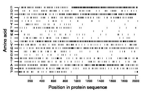 amino acid map