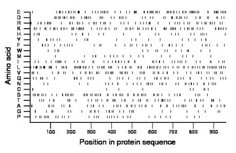 amino acid map