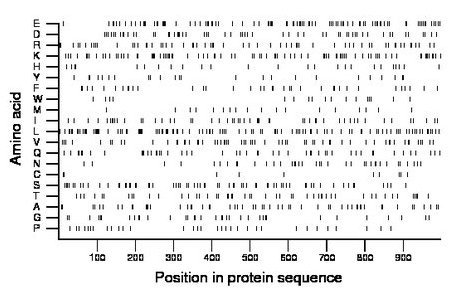 amino acid map