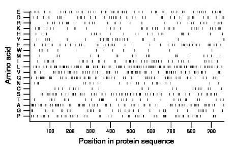 amino acid map