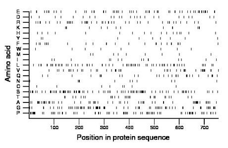 amino acid map