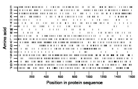 amino acid map