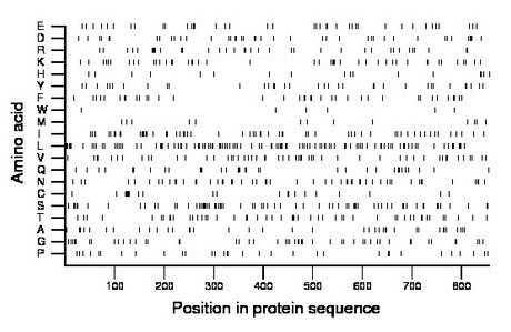 amino acid map