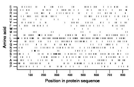 amino acid map