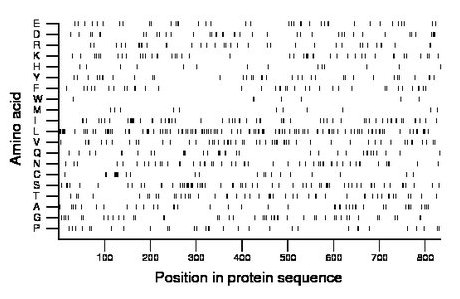 amino acid map