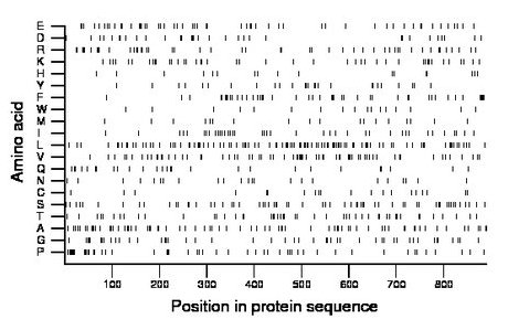 amino acid map