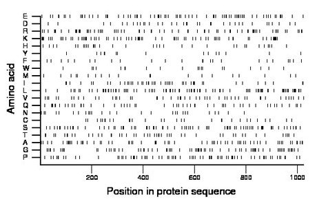 amino acid map