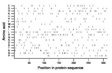 amino acid map