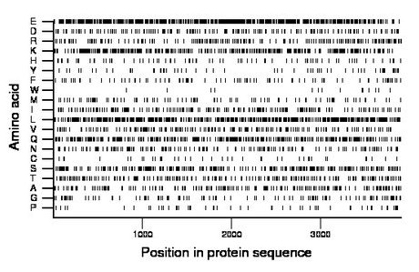 amino acid map