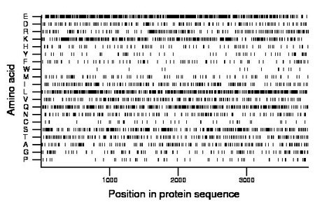 amino acid map