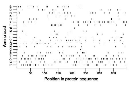 amino acid map