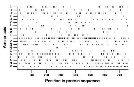 amino acid map