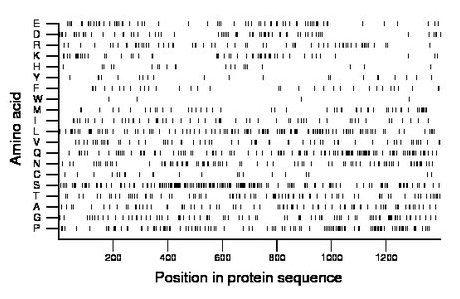 amino acid map