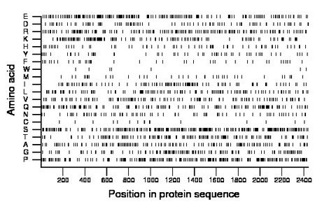 amino acid map