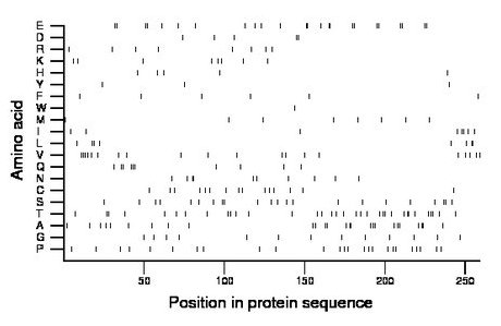 amino acid map