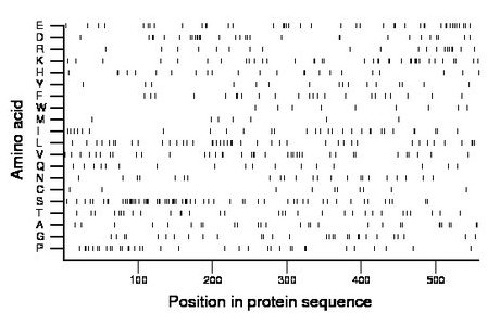 amino acid map