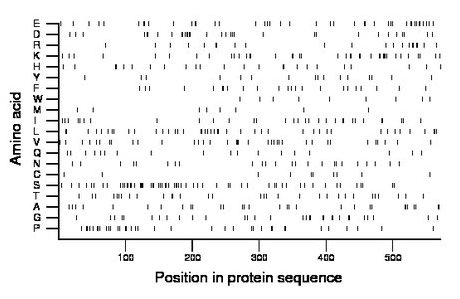 amino acid map