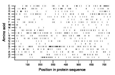 amino acid map