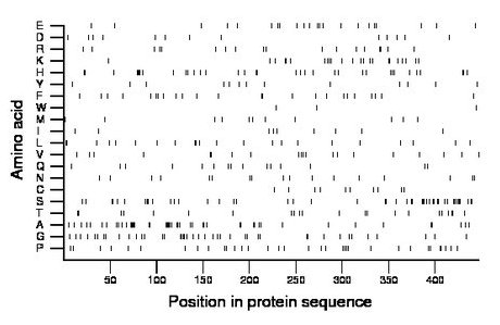 amino acid map