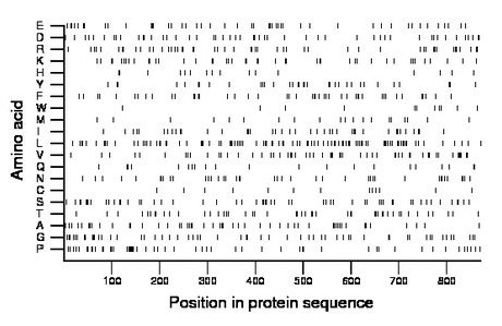 amino acid map