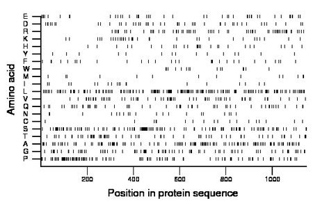 amino acid map