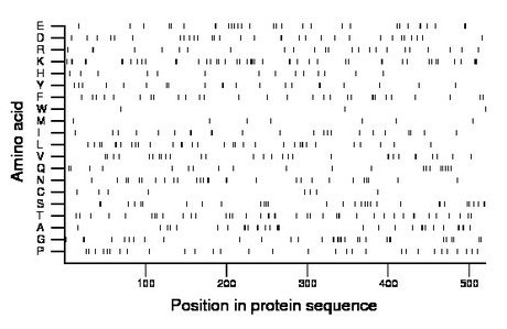 amino acid map