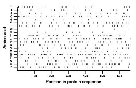 amino acid map