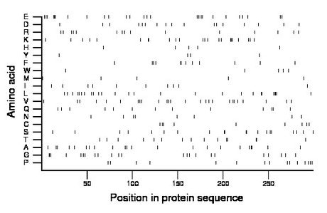 amino acid map