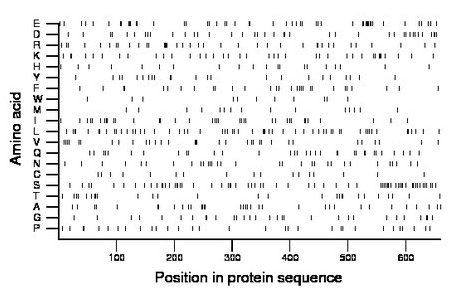 amino acid map