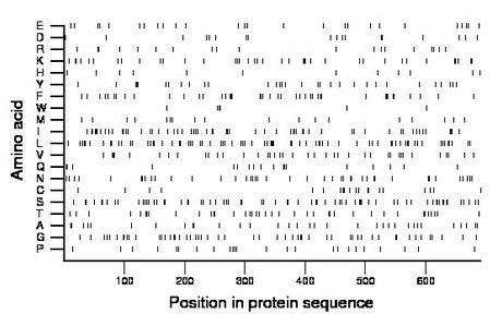 amino acid map