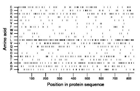 amino acid map