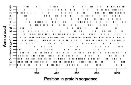 amino acid map