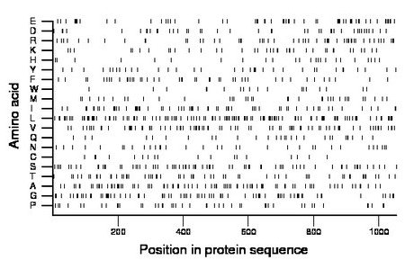 amino acid map