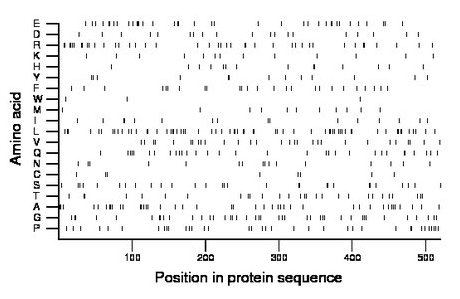 amino acid map