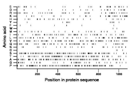 amino acid map