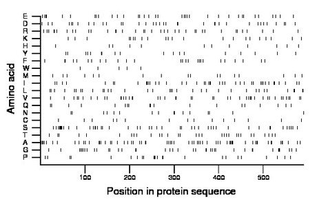 amino acid map