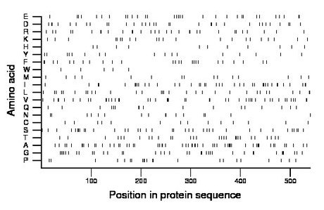 amino acid map