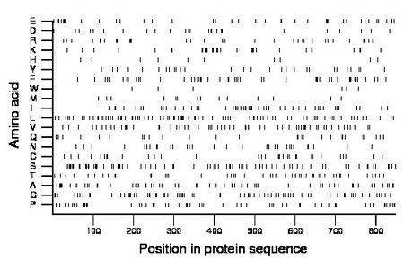 amino acid map