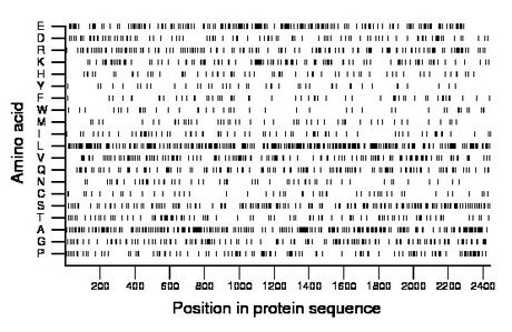 amino acid map