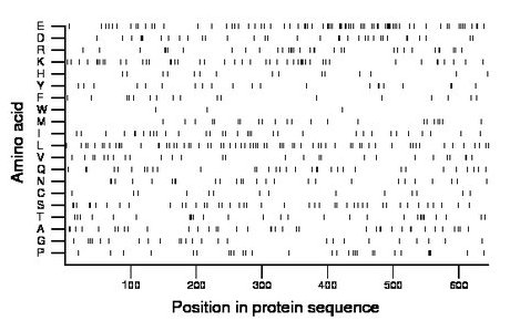 amino acid map